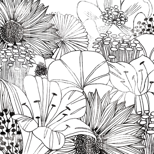 Contemporary Garden I Black and White by Michael Mullan - Wrapped Canvas Drawing