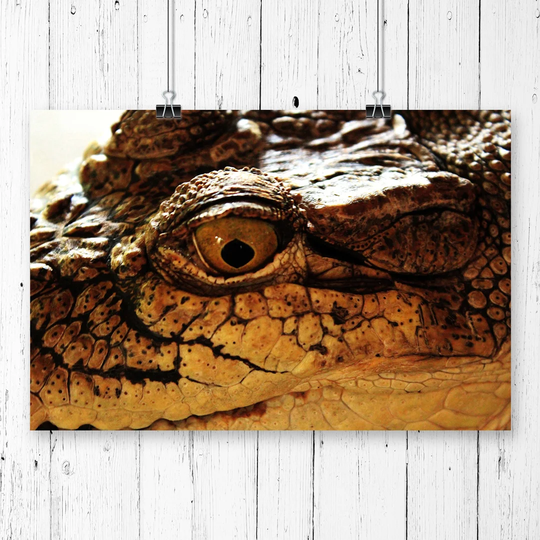 'Crocodile Eye' Photographic Print