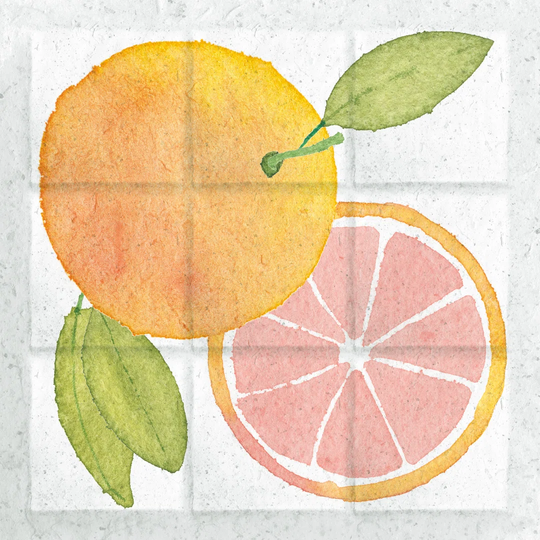 Citrus Tile VIII by Elyse DeNeige - Wrapped Canvas Painting Print