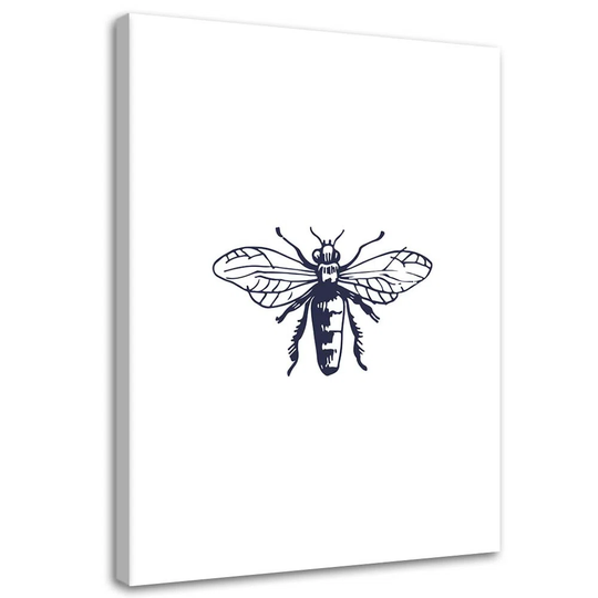 Canvas print, Wasp drawn