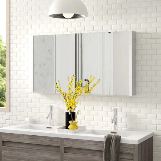 Arnetta 118cm x 65cm Surface Mount Mirror Cabinet