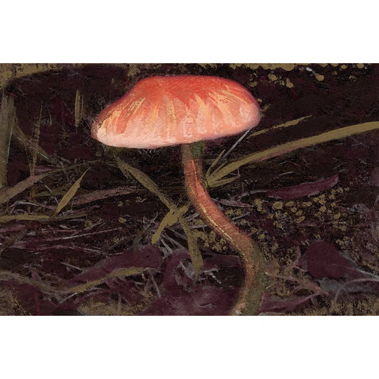 Forest Floor II by Alicia Ludwig - Wrapped Canvas Painting