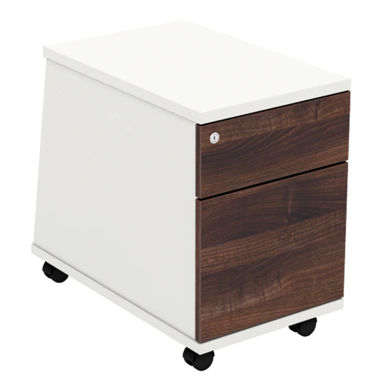 Derryberry 2 Drawer Filing Cabinet
