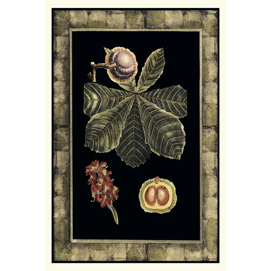 Tropical Bounty II by Vision Studio - Wrapped Canvas Graphic Art