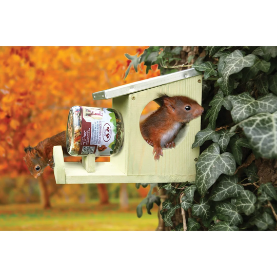 Mcrae Freestanding Birdhouse