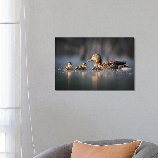 Family by Mateusz Piesiak - Wrapped Canvas Photograph