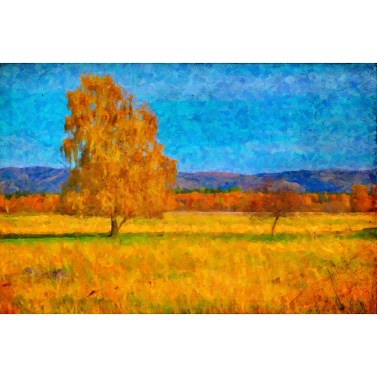 Oil Picture A Autumn Landscape