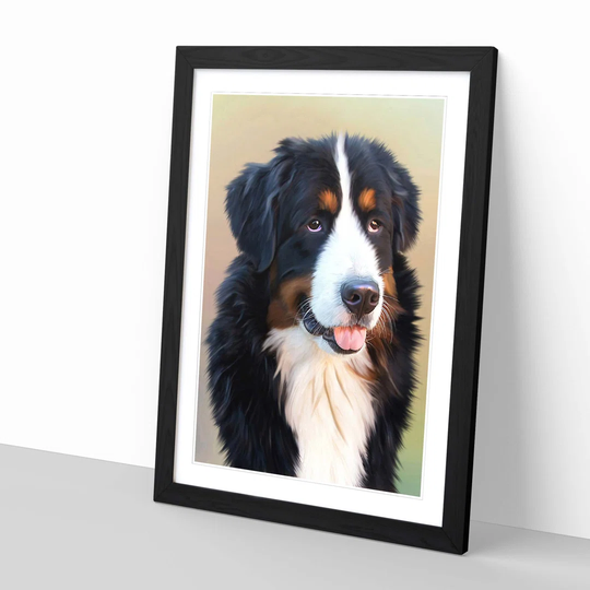 Bermese Mountain Dog Framed Photographic Print