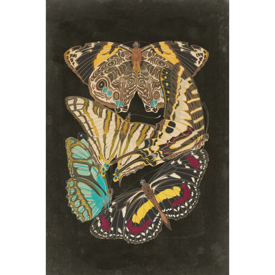Winged Patterns I by Eugene Seguy - Wrapped Canvas Painting