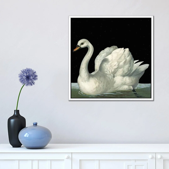 Swan In Night - Print