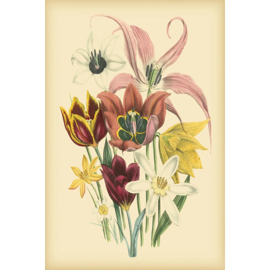 Garden Bouquet IV by Jane Loudon - Wrapped Canvas Painting