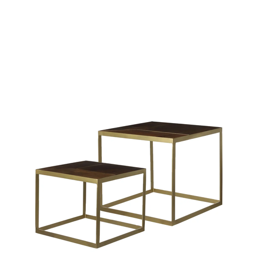 Mary 2 Piece Coffee Table Set