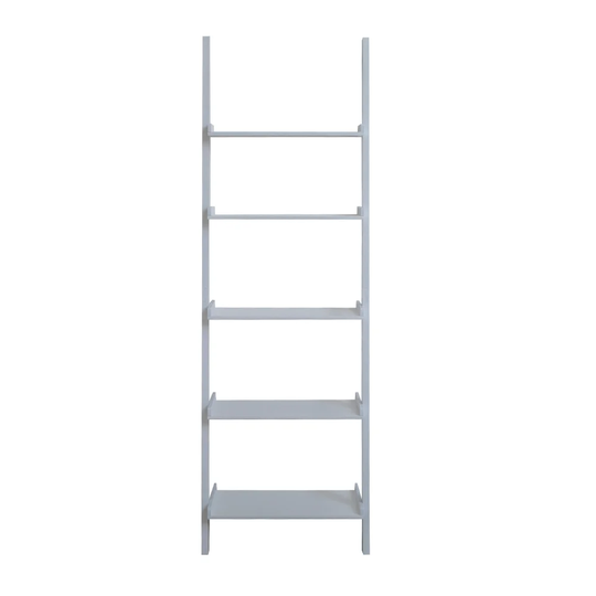 Carrilo Ladder Bookcase