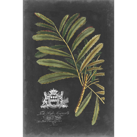 Royal Foliage II by Vision Studio - Wrapped Canvas Painting