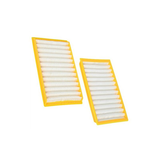Dyson Compatible h Class Vauum Cleaner Washable Filters for DC02 (Pack of 2)