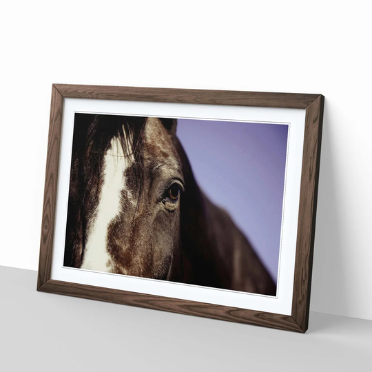 'Horse 2' Framed Photographic Print
