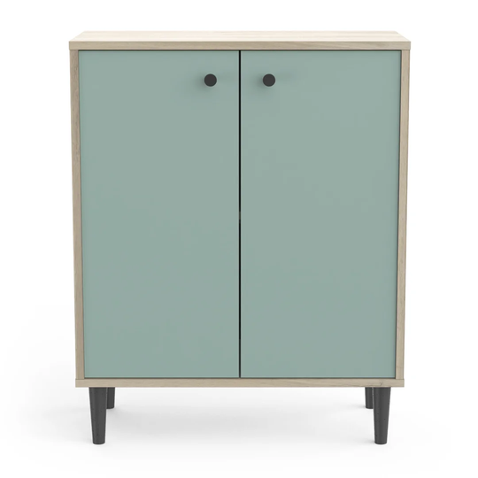 Adebayo 2 - Door Cabinet