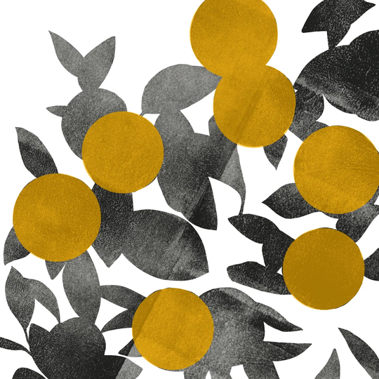 Shadow Branch II by Emma Scarvey - Wrapped Canvas Graphic Art