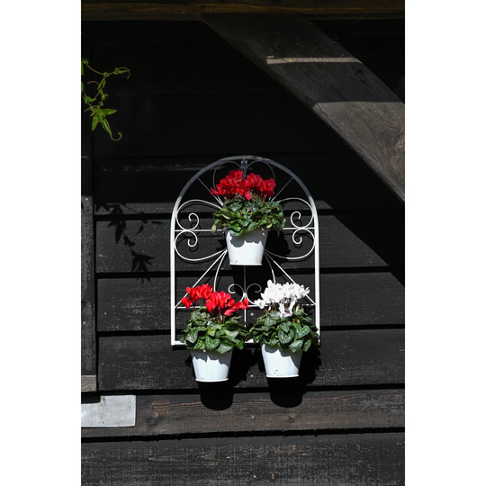 Calvillo Metal Wall Planter with Trellis