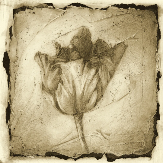 Floral Impression II by Ethan Harper - Wrapped Canvas Painting