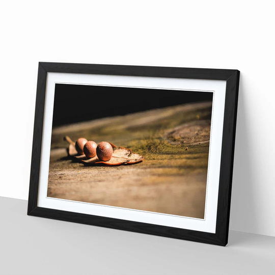 'Landscape Tree Stump' Framed Photographic Print