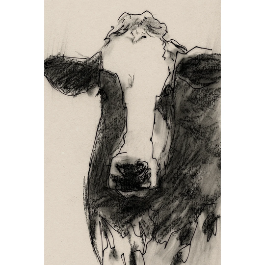 Cow Portrait Sketch II by Victoria Barnes - Wrapped Canvas Painting