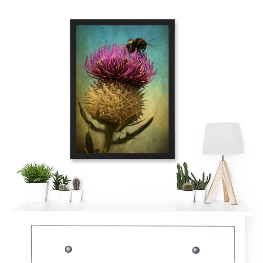 Photo Bumble Bee Thistle Flower Scotland Picture Picture Framed Rectangle Paper