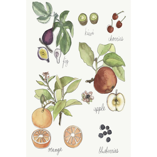 Fruit Medley I