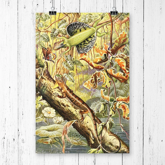 'Vintage Fleischmann, Josef Flying Dragon' Graphic Art