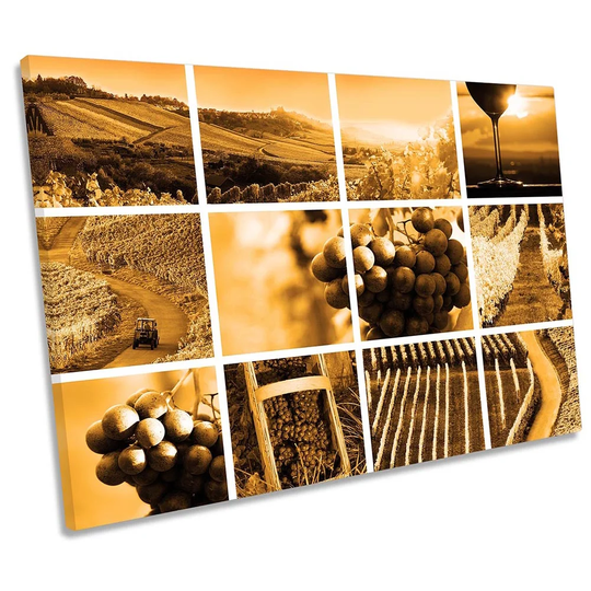 Wine Vineyard Harvest Picture CANVAS WALL ART Print Orange