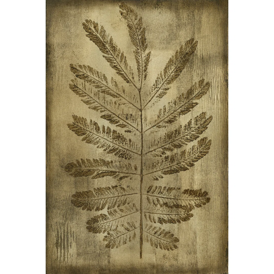 Sepia Drenched Fern I - Wrapped Canvas Painting