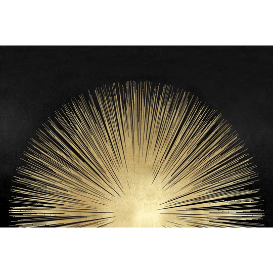 Sunburst Rising on Photograph Black by Abby Young - Wrapped Canvas Art Prints