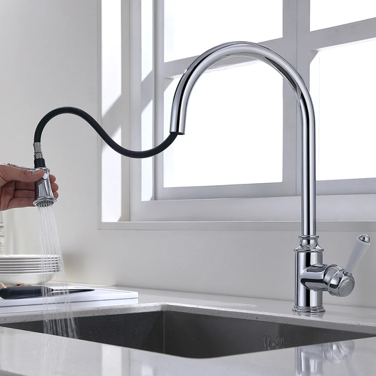 Lankford Pull Out Single Lever Monobloc Tap