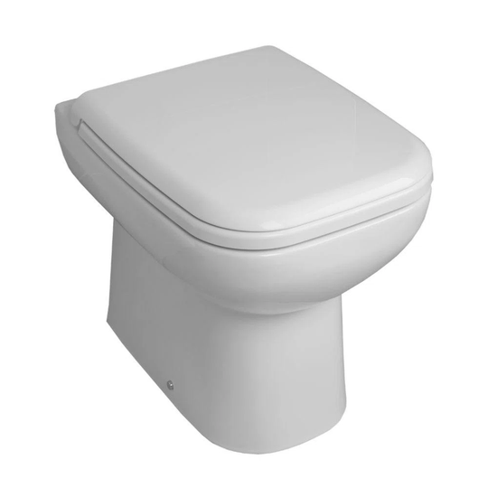 Reich Back to Wall Toilet with Dual Flush