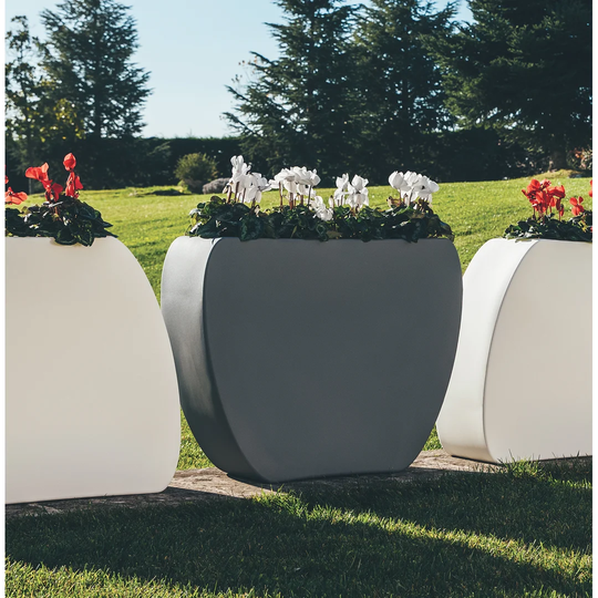 Latshaw Plastic Plant Pot