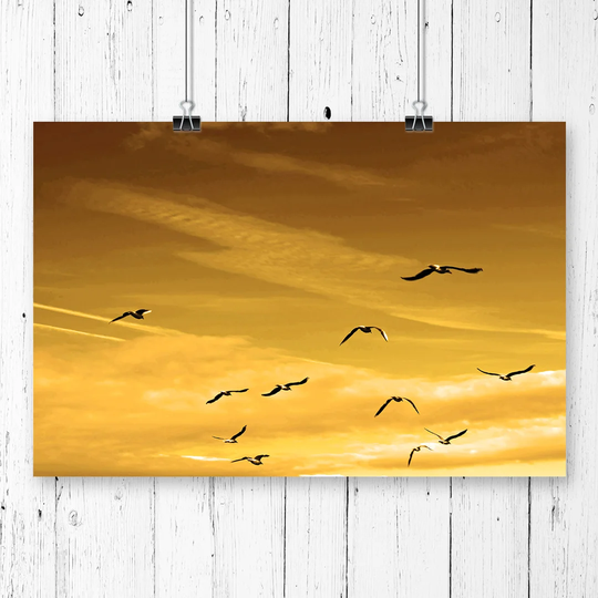 'Flying Seagulls Sunset Birds' Graphic Art