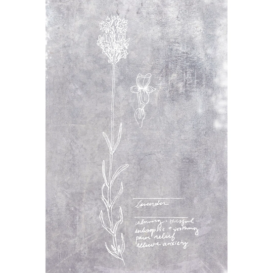 Essential Botanicals II