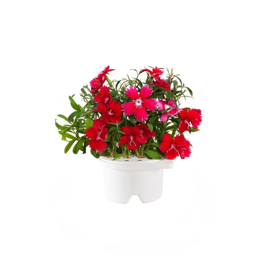 Refill Cartridge Plant Pot