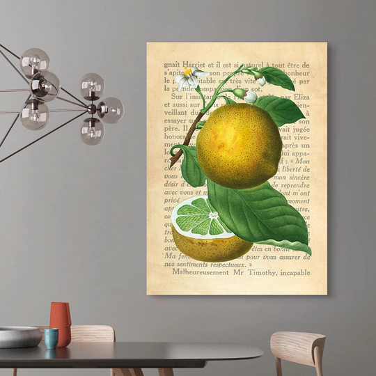 Grapefruit, After Redouté by Remy Dellal - Wrapped Canvas Graphic Art Print