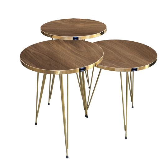 Ginter 3 Piece Side Table Set