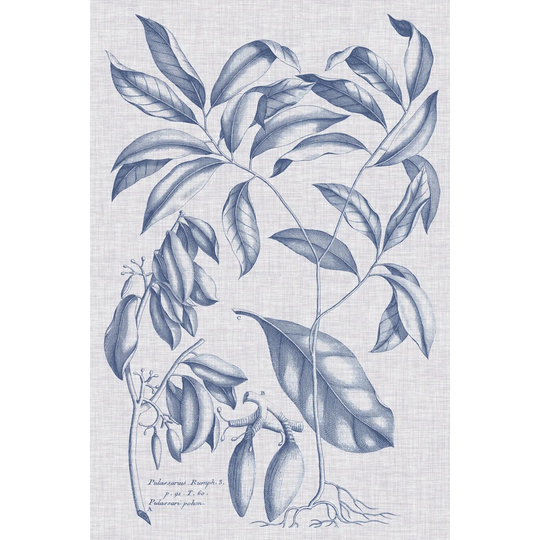 Navy & Linen Botanical I by Vision Studio - Art Prints