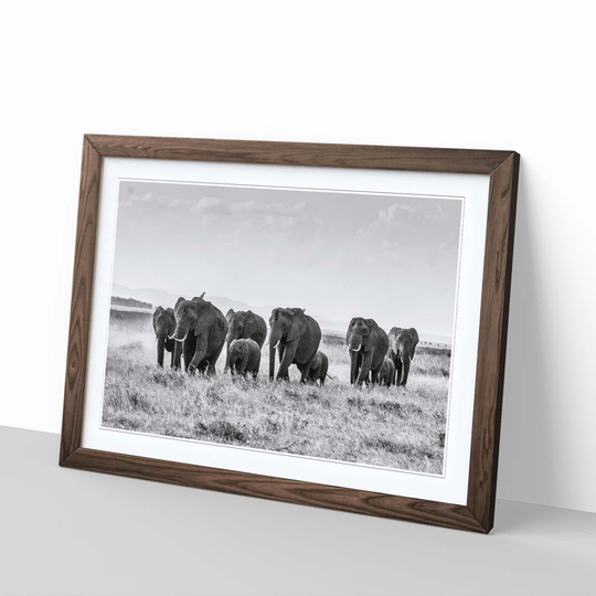 'Herd of Elephants 1' Framed Photographic Print