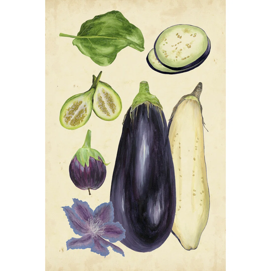 Aubergine Study II by Melissa Wang - Wrapped Canvas Painting