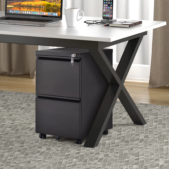 Berglund 2 Drawer Filing Cabinet