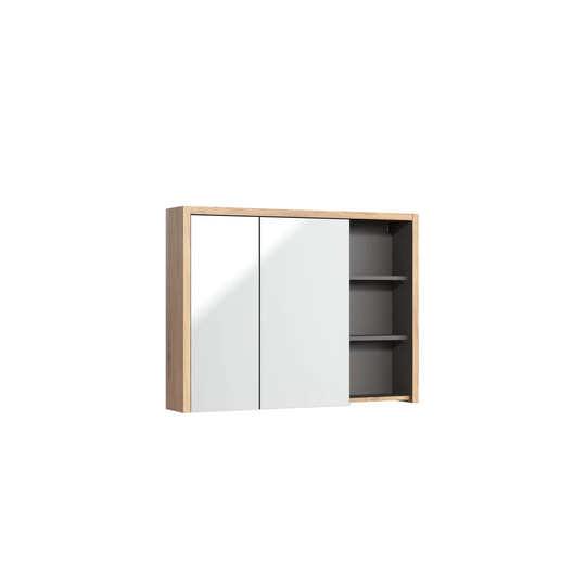 Elwira Surface Mount Medicine Cabinet