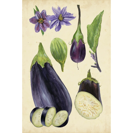 Aubergine Study I by Melissa Wang - Wrapped Canvas Painting