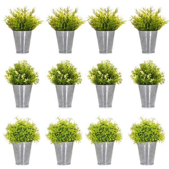 August Grove 12PC FLOWER POT