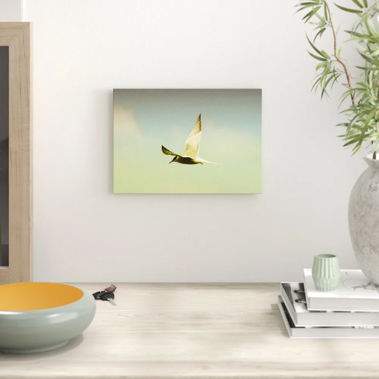 'Flying Bird' Photographic Print