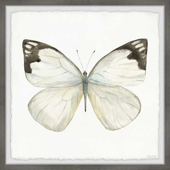 Rainforest Butterfly - Picture Frame Painting