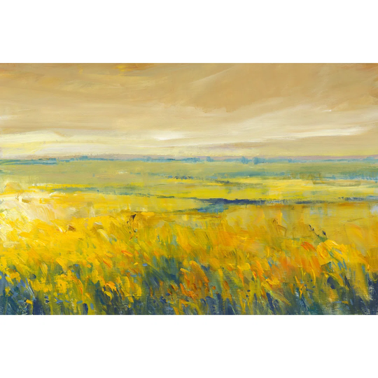 Hot Summer Day I by Tim OToole - Wrapped Canvas Graphic Art